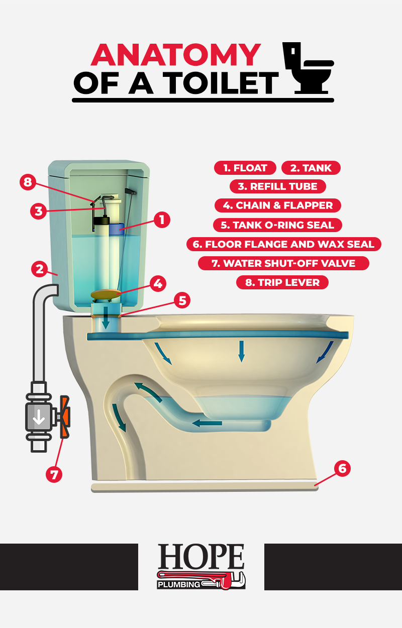 Anatomy Of A Toilet Infographic 1 